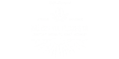 Raízes da Floresta